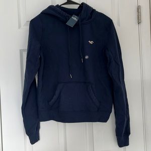 NWT Hollister Icon Hoodie